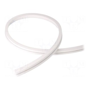 NEON LED tape | white warm | 24V | LED/m: 120 | 10mm | IP65 | 9.6W/m