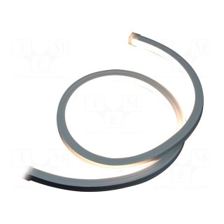 NEON LED tape | white warm | 2835 | 12V | LED/m: 120 | 12mm | IP65 | 10W/m