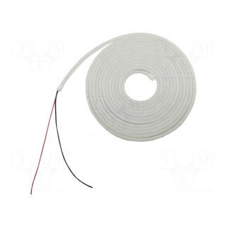 NEON LED tape | white cold | 2835 | 12V | LED/m: 120 | 6mm | IP65 | 8W/m