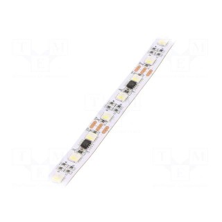Programmable LED tape | RGBW | 5050 | 12V | LED/m: 60 | 12mm | white PCB