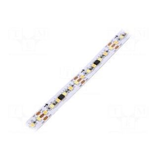Programmable LED tape | white warm/cold white | 2835 | 24V | 12mm