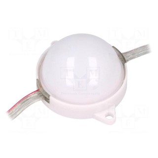 LED | RGB | IP68 | No.of diodes: 3 | 5050,PLCC6 | Ø50mm | 12V | SMD