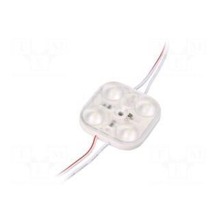 LED | white | 1.92W | 7000K | 220lm | IP67 | 170° | No.of diodes: 4 | 2835