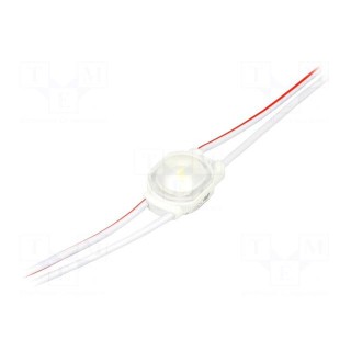 LED | white | 360mW | 7000K | 55lm | IP67 | 170° | No.of diodes: 1 | -25÷55°C