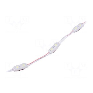 LED | white | 500mW | 7000K | 70lm | IP67 | 140° | No.of diodes: 2 | -25÷55°C