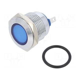 Indicator: LED | flat | blue | 24VDC | 24VAC | Ø16mm | brass | Body: silver