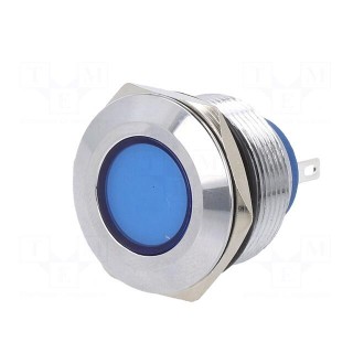 Indicator: LED | flat | blue | 24VDC | 24VAC | Ø22mm | brass | Body: silver
