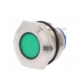 Indicator: LED | flat | 12VDC | 12VAC | Cutout: Ø22mm | brass