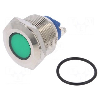 Indicator: LED | flat | 12VDC | 12VAC | Cutout: Ø22mm | screw | brass