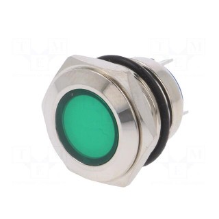 Indicator: LED | flat | green | 24VDC | 24VAC | Ø16mm | brass | Body: silver