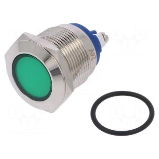 Indicator: LED | flat | 24VDC | 24VAC | Cutout: Ø19mm | screw | brass