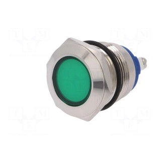 Indicator: LED | flat | 24VDC | 24VAC | Cutout: Ø19mm | screw | brass