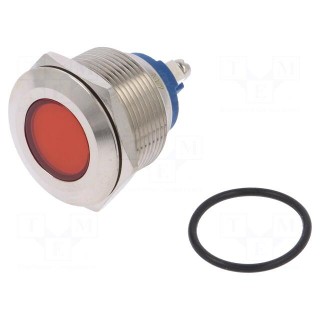 Indicator: LED | flat | 24VDC | 24VAC | Cutout: Ø22mm | screw | brass