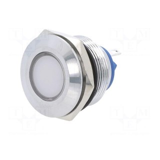Indicator: LED | flat | white | 12VDC | 12VAC | Ø22mm | brass | Body: silver