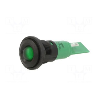 Indicator: LED | prominent | green | 24VDC | 24VAC | Ø16mm | IP67 | plastic