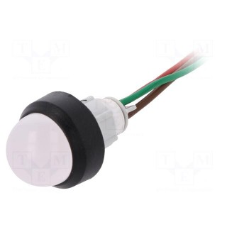 Indicator: LED | prominent | 24VDC | 24VAC | Cutout: Ø13mm | 300mm leads