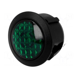 Indicator: LED | prominent | green | 24VDC | Ø20mm | IP20 | polyamide