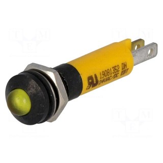Indicator: LED | prominent | 24VDC | Cutout: Ø8mm | IP67 | plastic
