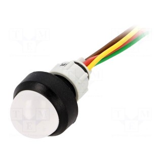 Indicator: LED | prominent | 24VDC | 24VAC | Cutout: Ø13mm | IP40