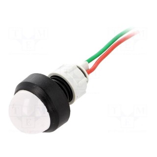 Indicator: LED | prominent | 24VDC | 24VAC | Cutout: Ø13mm | IP40