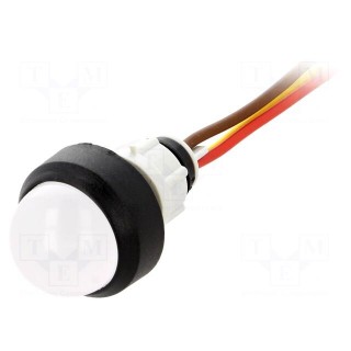 Indicator: LED | prominent | 24VDC | 24VAC | Cutout: Ø13mm | IP40