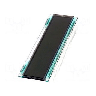 Display: LCD | 14-segment | STN Positive | No.of dig: 8 | 52x22x1.1mm