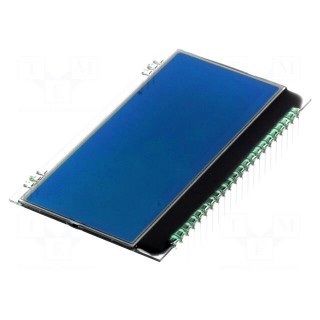 Display: LCD | alphanumeric | STN Negative | 20x4 | blue | 66x38.1mm