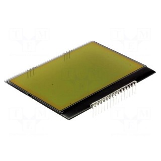 Display: LCD | graphical | 160x104 | STN Positive | yellow-green