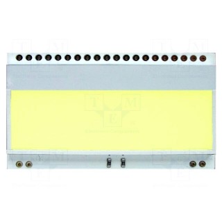 Backlight | EADOGM081,EADOGM162,EADOGM163 | LED | 55x31x3.6mm