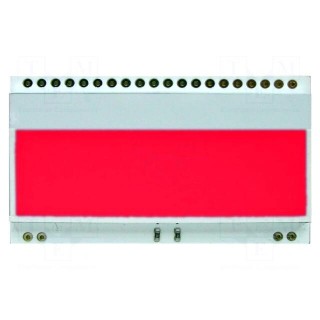 Backlight | EADOGM081,EADOGM162,EADOGM163 | LED | 55x31x3.6mm | red