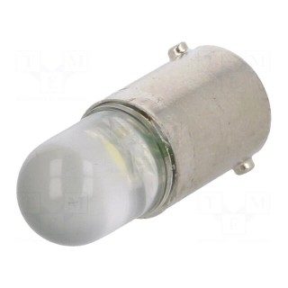 LED lamp | white | BA9S | 12VDC | 12VAC