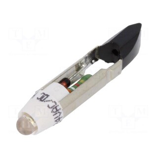 LED lamp | white | T5,5 | 24VDC | 24VAC