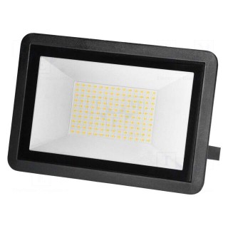 Lamp: LED flood light | 100W | 4000K | CRImin: 80 | 50x155x229mm | IP65