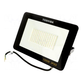 Lamp: LED flood light | 230VAC | 100W | neutral white | 120° | 4000K