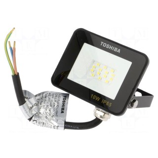 Lamp: LED flood light | 230VAC | 10W | cool white | 120° | 6500K | IP65