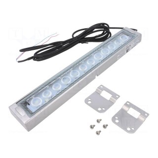 LED lamp | cool white | 1200lm | 6500K | -10÷50°C | 24VDC | IP66 | 3m