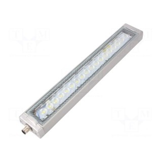 LED lamp | cool white | 1300lm | 6500K | -40÷60°C | 24VDC | IP66 | PIN: 4