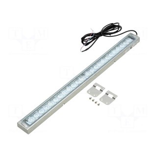 LED lamp | cool white | 2400lm | 6500K | -10÷50°C | 24VDC | IP66 | 3m