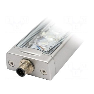LED lamp | cool white | 2600lm | 6500K | -40÷60°C | 24VDC | IP66 | PIN: 4