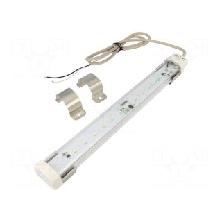 LED lamp | cool white | 385lm | 6500K | -30÷60°C | 24VDC | IP65 | 1m