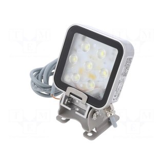LED lamp | cool white | 550lm | 6500K | -40÷60°C | 24VDC | IP66 | 3m