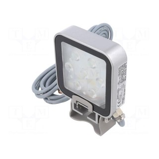 LED lamp | cool white | 550lm | 6500K | -40÷60°C | 24VDC | IP66 | 3m