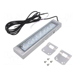 LED lamp | cool white | 800lm | 6500K | -10÷50°C | 24VDC | IP66 | 3m