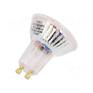 LED lamp | cool white | GU10 | 230VAC | 350lm | P: 4.8W | 36° | 6500K