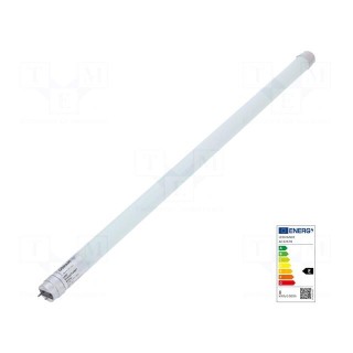 LED lamp | neutral white | G13 | 230VAC | 900lm | 8W | 200° | 4000K