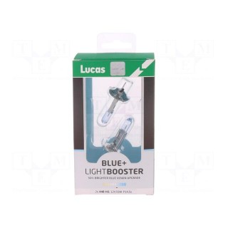 Filament lamp: automotive | P14,5s | white-blue | 12V | 55W | H1