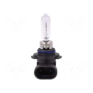Filament lamp: automotive | HB3 | 12V | 60W | LLB
