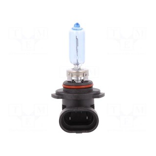 Filament lamp: automotive | P20d | white-blue | 12V | 60W | BLUE | HB3