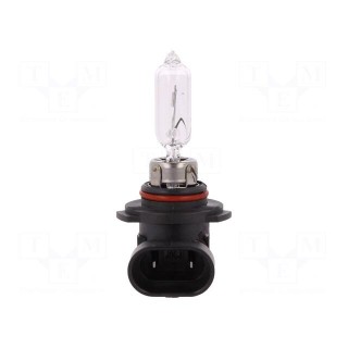 Filament lamp: automotive | P20d | white-blue | 12V | 60W | XENON +50%