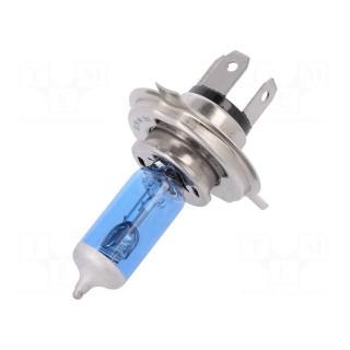 Filament lamp: automotive | P43t | blue | 12V | 100/80W | H4 | two bulbs